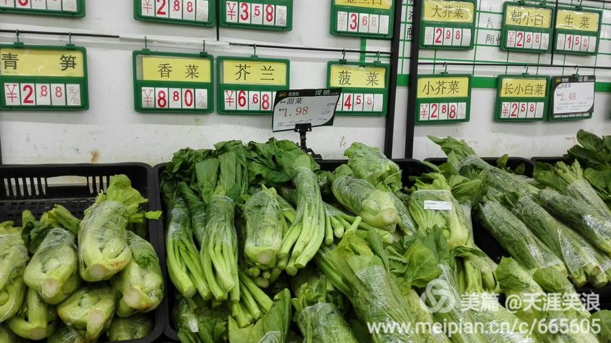 秀英辖区万达百佳汇超市,旺加旺超市元月25日蔬菜零售价格情况