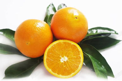 黄色新鲜橙子水果树叶 平面电商 创意素材 树叶素材