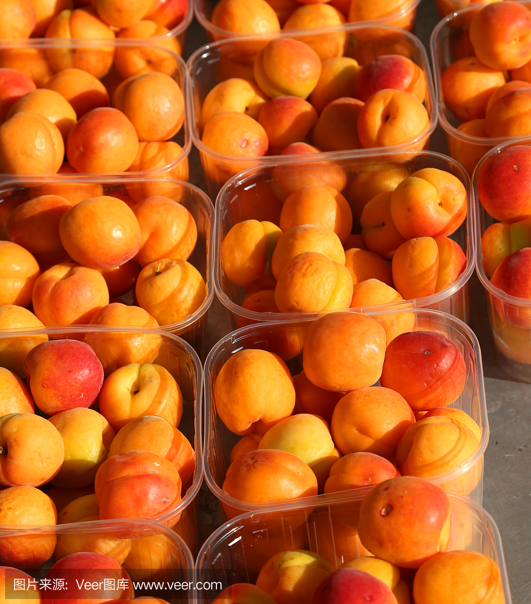 新鲜采摘的杏子在水果市场出售